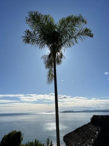 Palmiers vue sur Tanikely